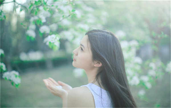 香洲验血查男女几周可以验(验血查男女结果图)